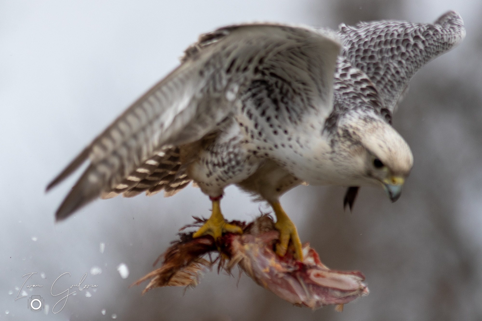 01 april 2022 114615 1DX47162